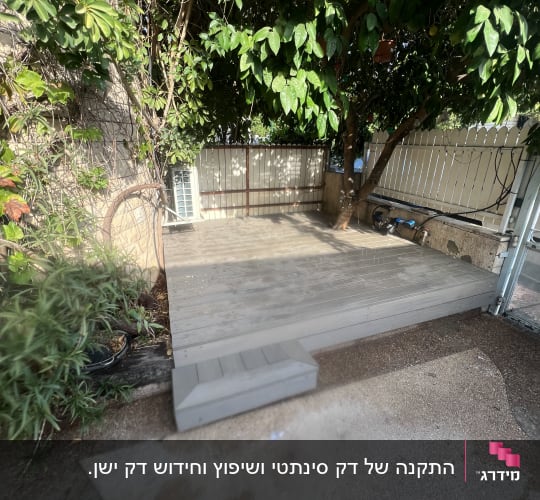 דק עץ בגינה עם צמחייה מסביב ועץ גדול